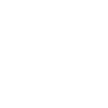 logo_leone